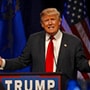 Donald fait-il monter les taux ? Donald fait-il monter les taux ?