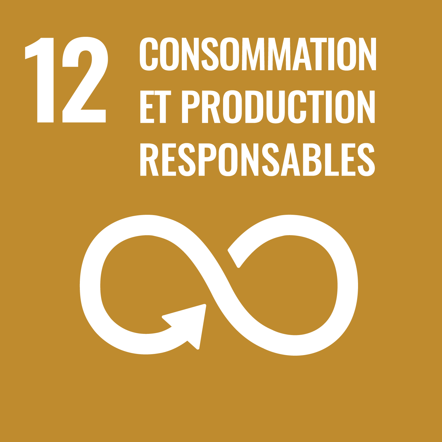 12 consommation et production responsables